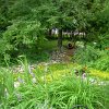 park (1)